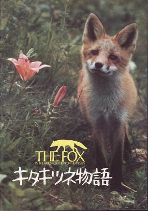 200部冷门好电影推荐