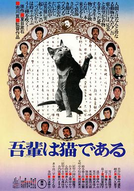 主观镜头(POV)电影推荐