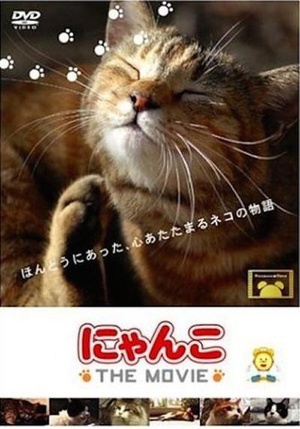 200部冷门好电影推荐