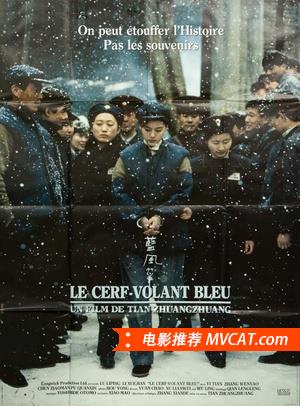 中国电影百年佳片推荐榜单 - TOP100部