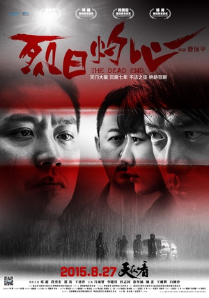豆瓣电影2015年度榜单