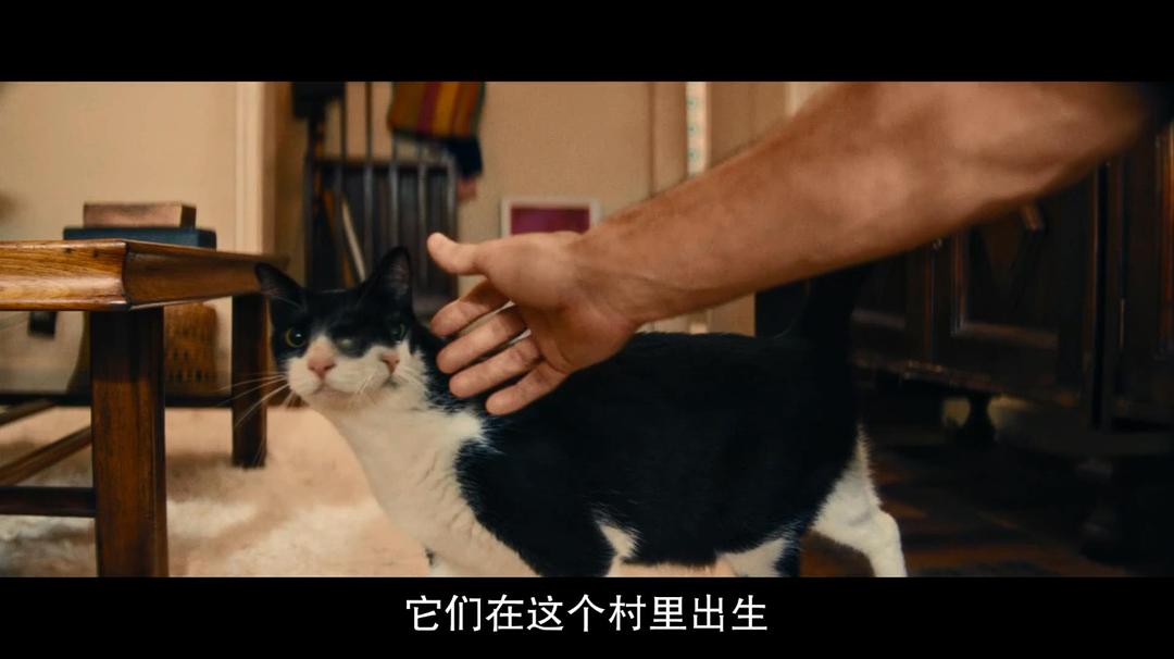密探