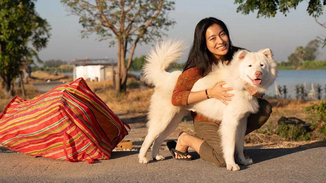 心犬相随