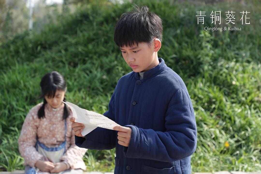 青铜葵花