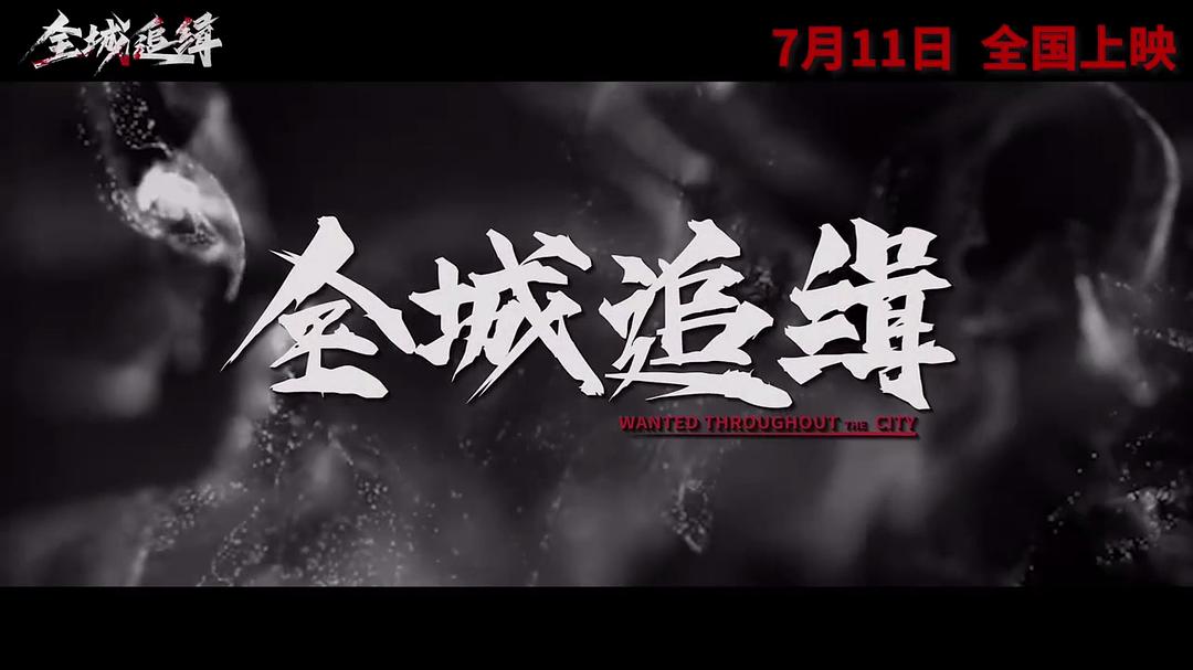 全城追缉