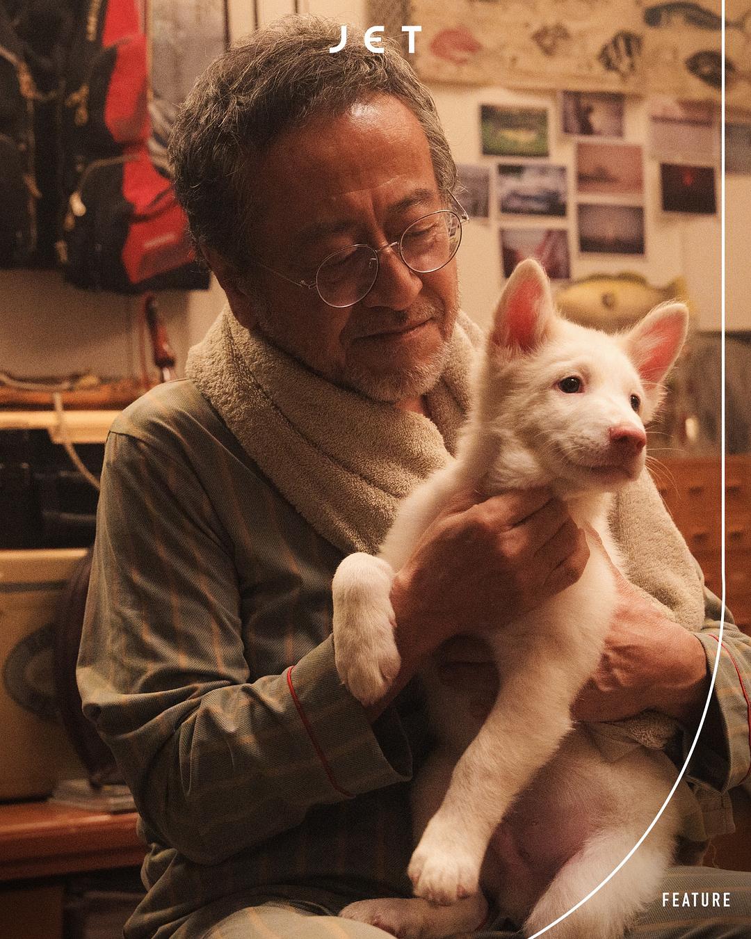 心犬相随