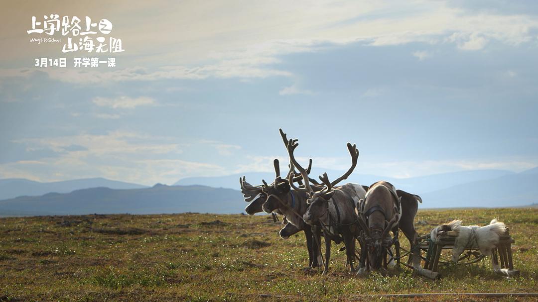 上学路上之山海无阻