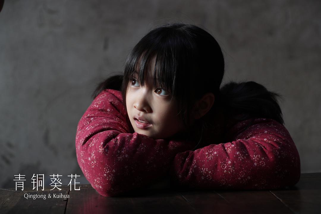青铜葵花