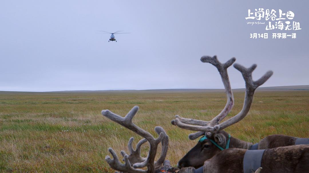 上学路上之山海无阻