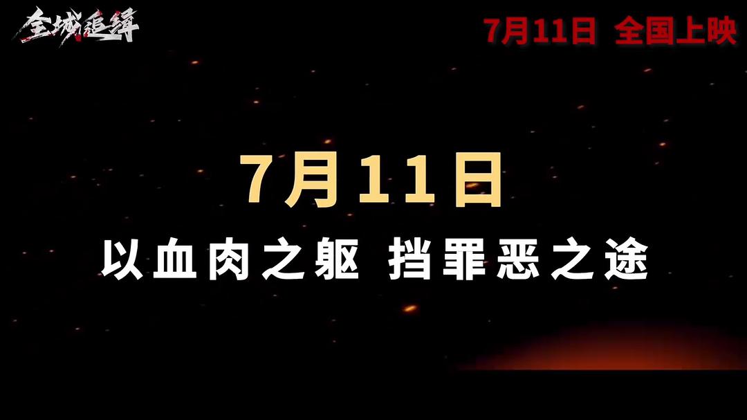 全城追缉