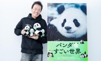 《熊猫奇遇记》2026上映：全景记录国宝一生，看哭观众彰显保护智