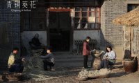 青铜葵花:与童年重逢的苦难诗篇