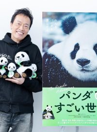《熊猫奇遇记》2026上映：全景记录国宝一生，看哭观众彰显保护智