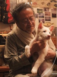 心犬相随:一只流浪狗治愈三段人生的温暖旅程