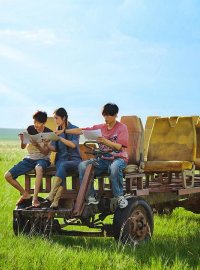蓝蓝的天上白云飘:草原治愈之旅与爱情成长
