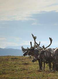 《上学路上之山海无阻》：跨越山海的上学路，记录全球少年的求知渴望