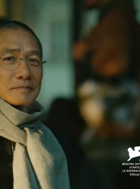 寂静的朋友：银杏树见证三个时代的宇宙对话