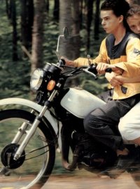 《坏血》1986：卡拉克斯的末世青春与无望之爱