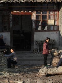 青铜葵花:与童年重逢的苦难诗篇