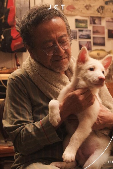 心犬相随:一只流浪狗治愈三段人生的温暖旅程